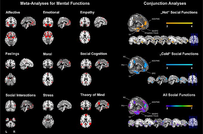 Die Metaanalyse der Forschenden zeigt anhand von Big Data auf, welche Hirnregionen mit verschiedenen Gefühlen verbunden sind. | Copyright: MPI CBS